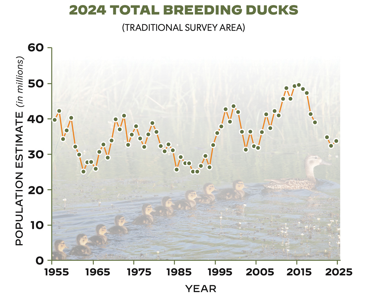 2024 Total Breeding Ducks Chart