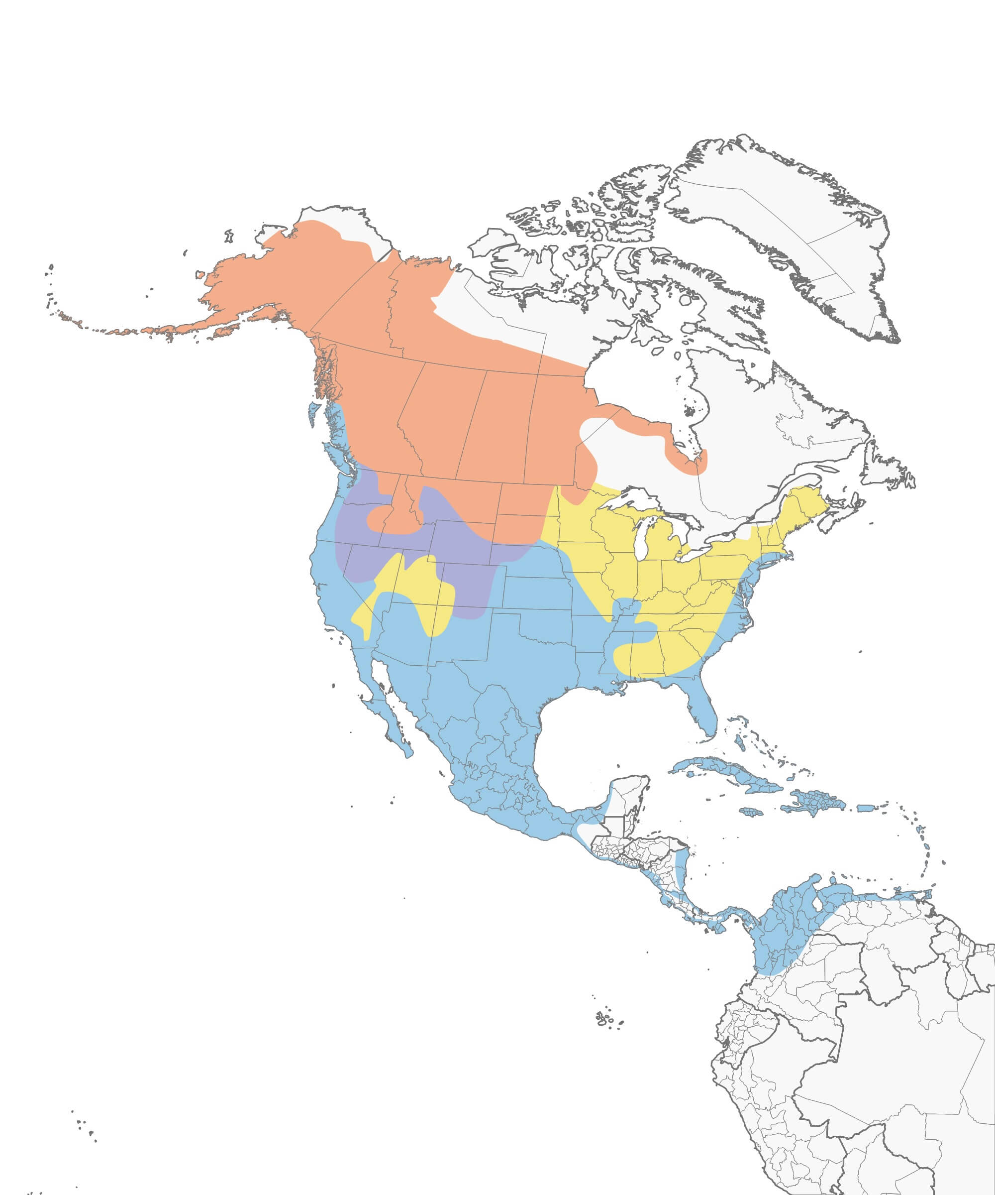 American Wigeon Migration Range Map