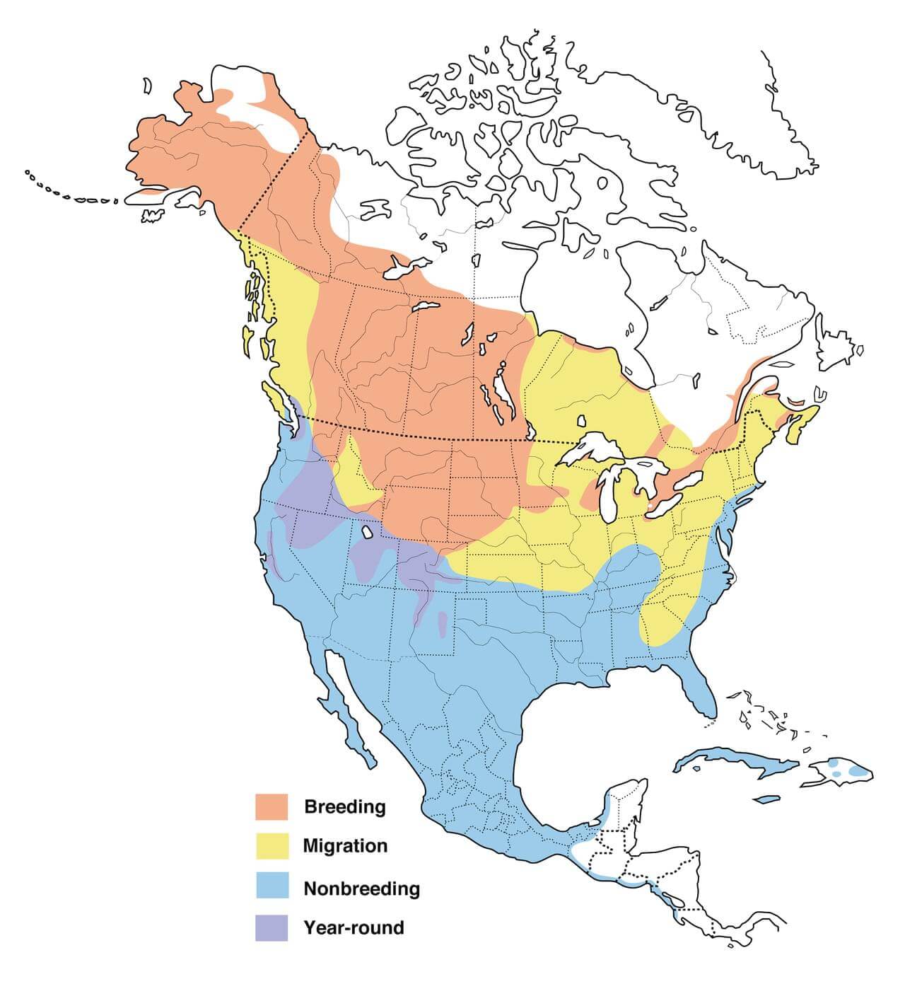Northern Shoveler Range Map