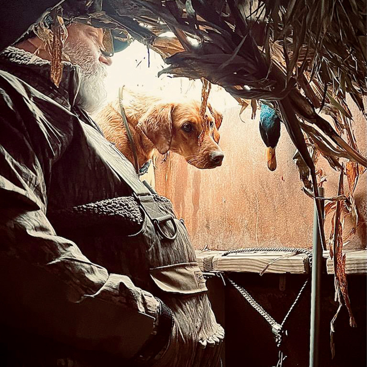 Hunter and retriever in duck blind. By Phil Bacon Jr.