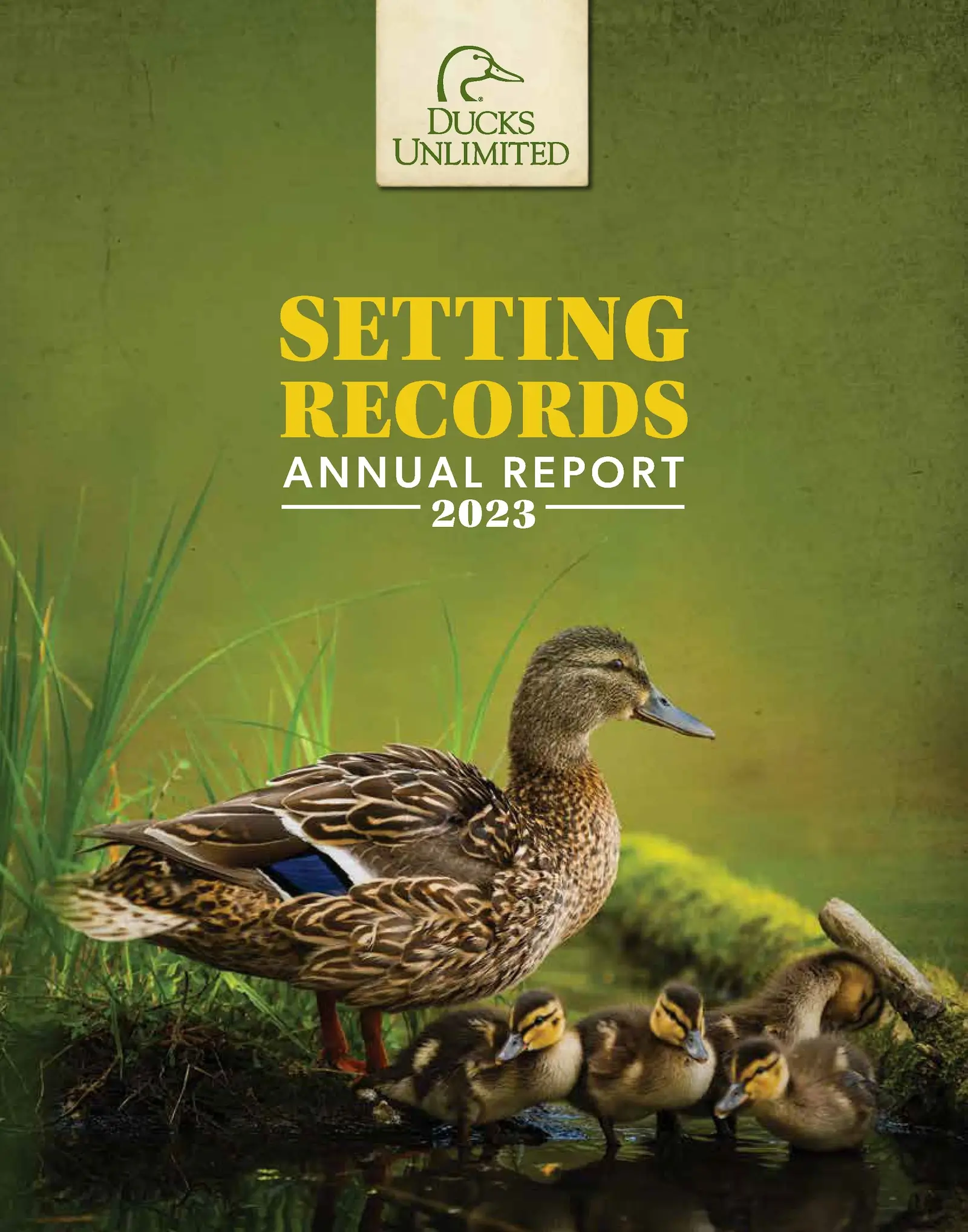 Ducks Unlimited Releases Season Review – Georgia Outdoor News