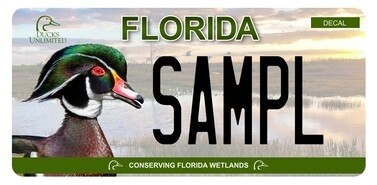 SAMPL plate image.jpg
