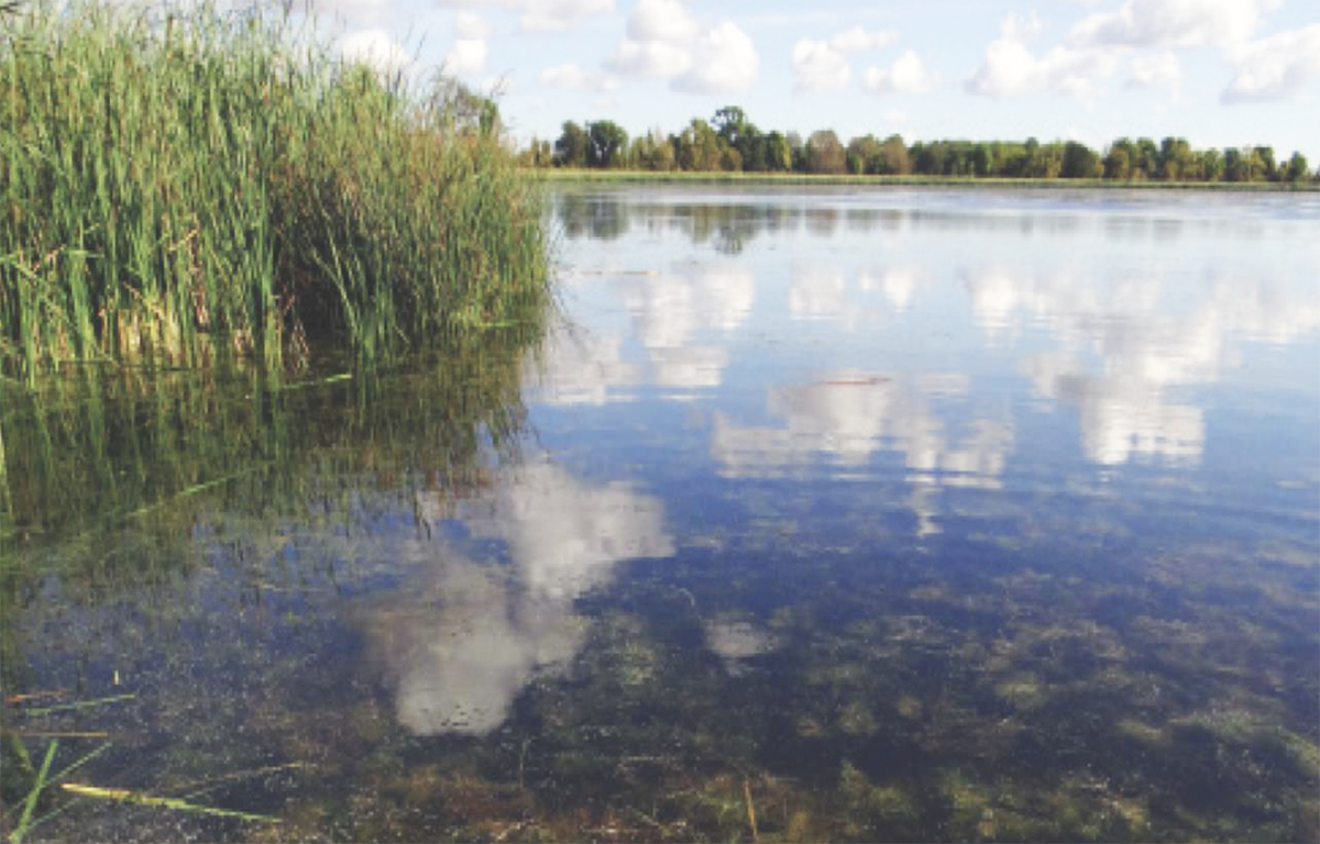 Sanborn Lake WMA.png
