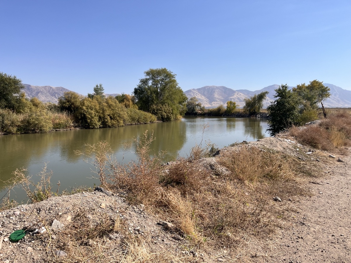 Ducks Unlimited awarded $5M contract for significant restoration work on Utah’s Lower Bear River