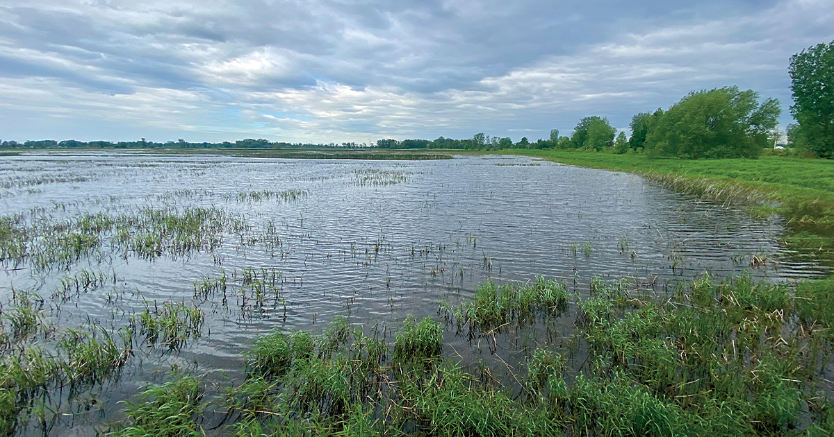 DU Canada_Central Canada.jpg