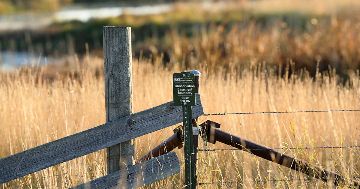 Conservation Easement sign. Photo by Bill Buckley