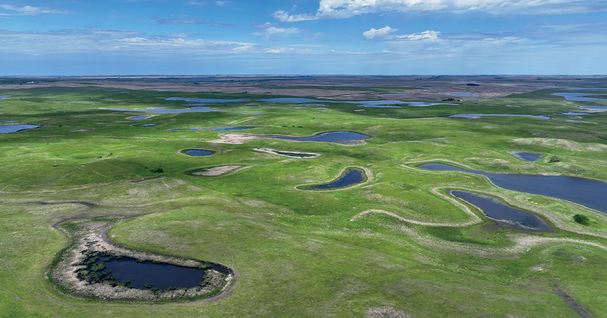 The Prairie Pothole Region of North Dakota. Photo by Ben Romans.jpg
