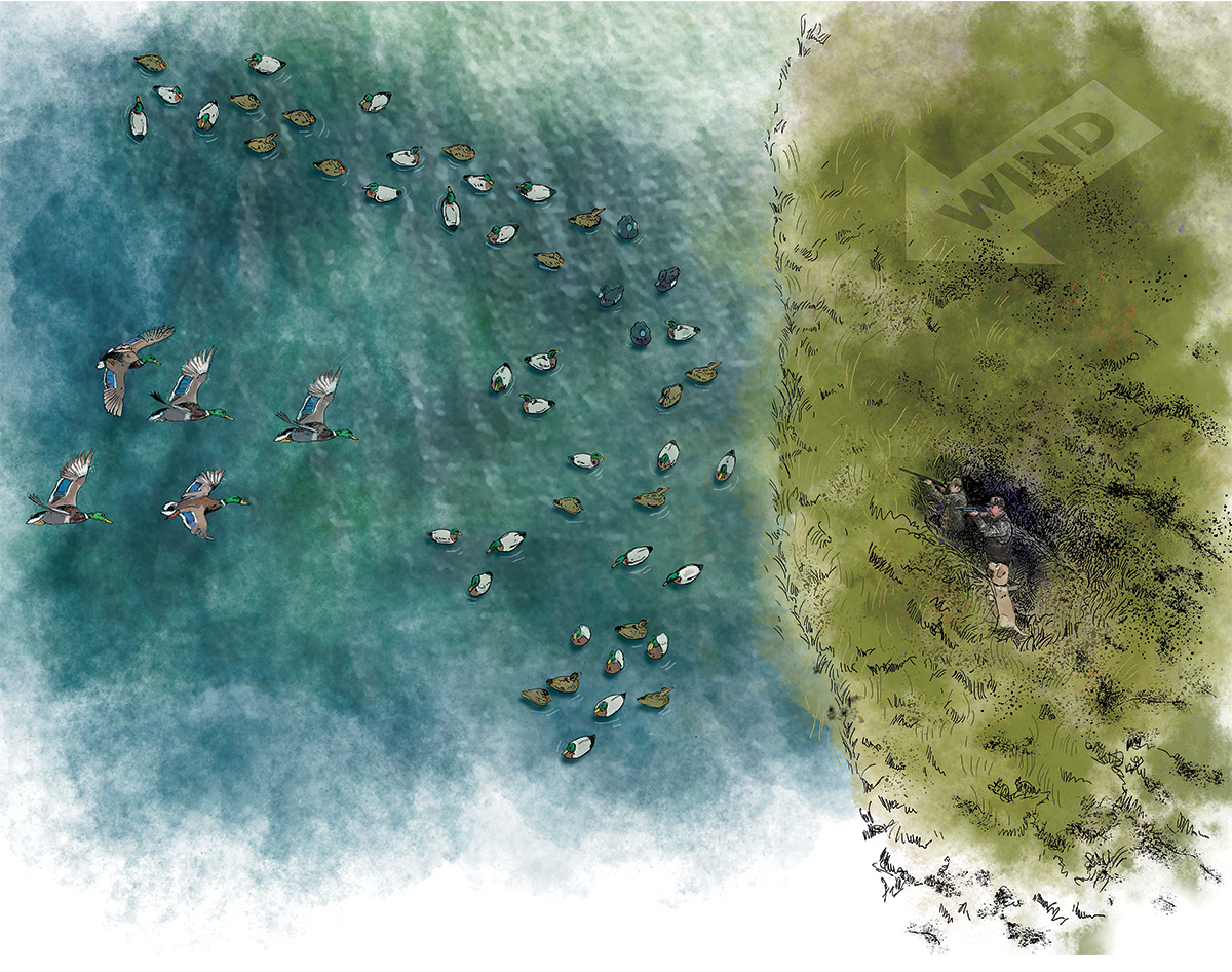 J decoy spread. Illustration by Gary Cox.jpg