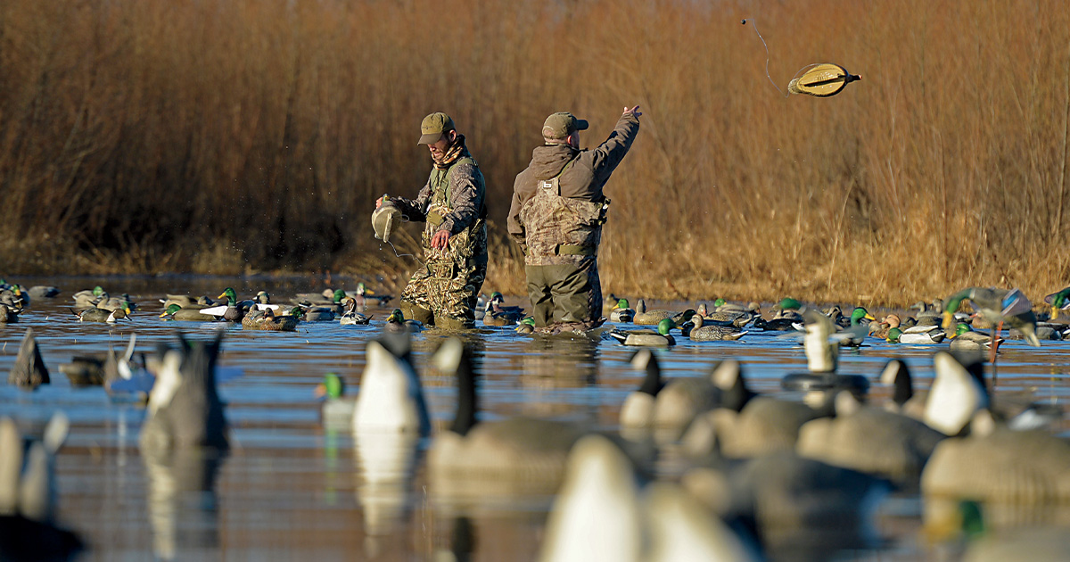 Hunters placing decoys. Photo by Travis Mueller_averyoutdoors.com.jpg