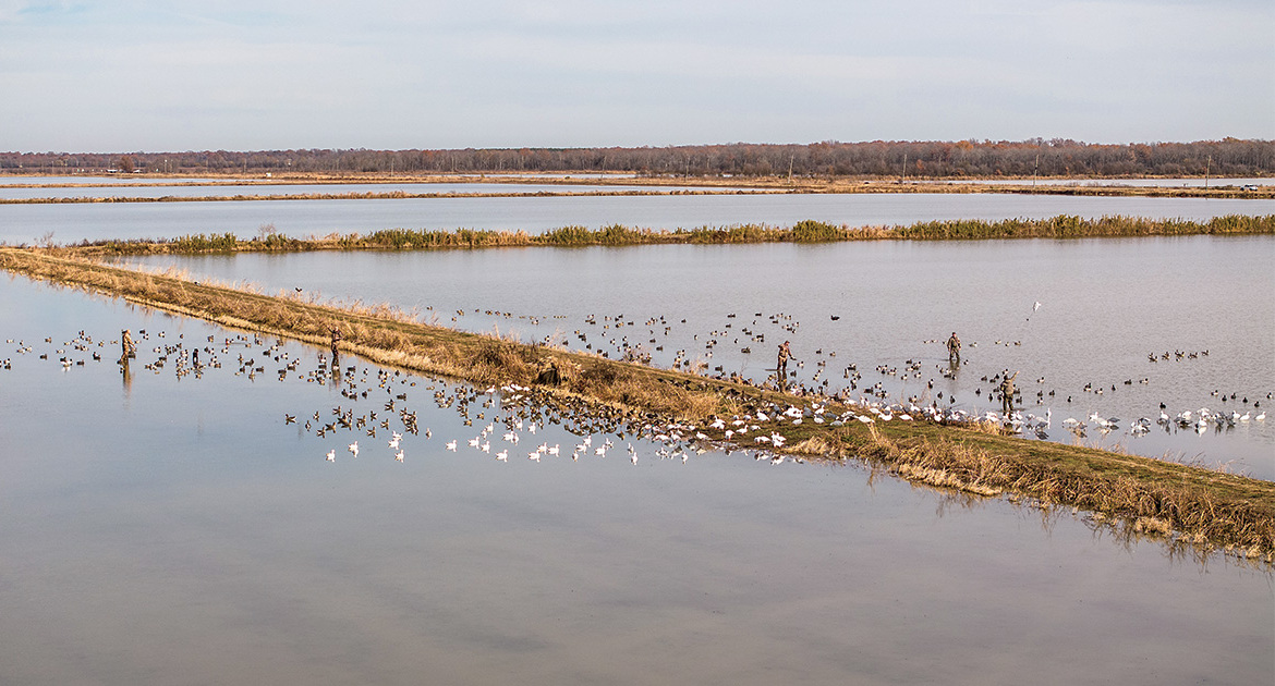 Ultimate Decoy Spread Guide for Waterfowl Hunters