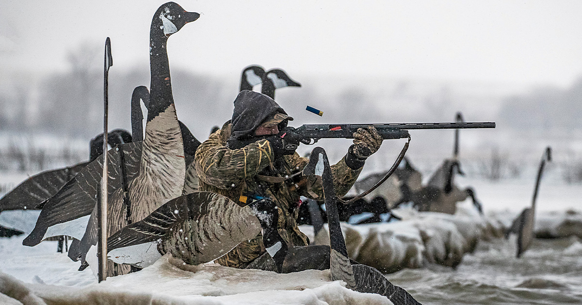 Goose hunter. Photo by dougsteinkephotos.com