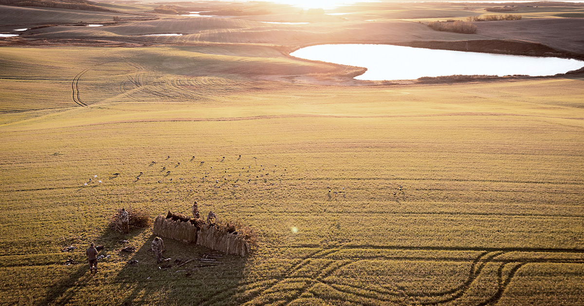 Waterfowler's setting up a blind in the Prairie Pothole Region. Photo by Austin Ross