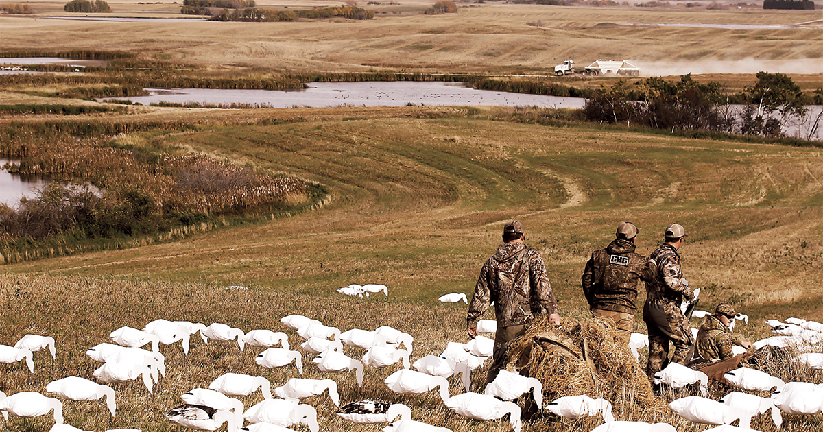 Hunters setting out decoys. Photo by Austin Ross