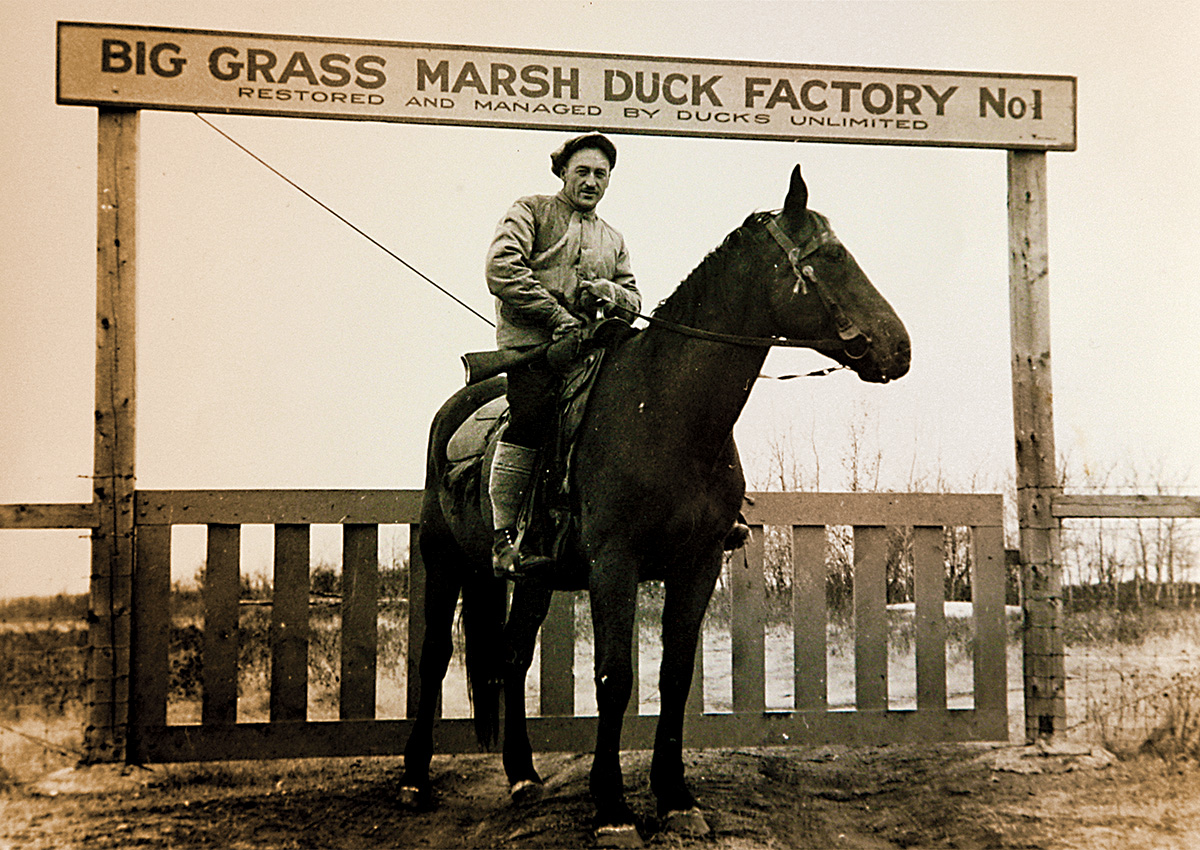 Big Grass Marsh Project. Photo by Ducks Unlimited