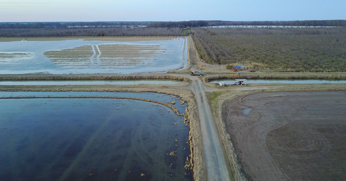 Ariel photo of truck on turn rows in fields. Photo by Blake Fisher/RNTCalls.com