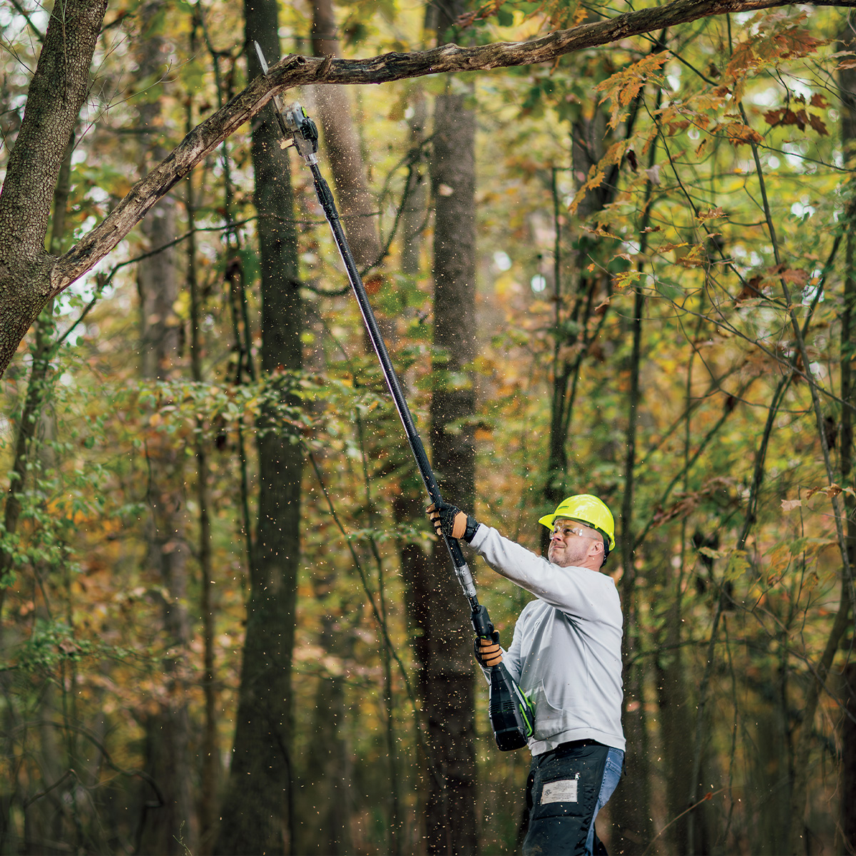 Greenworks Commercial Optimus 82-Volt Carbon Fiber Pole Saw