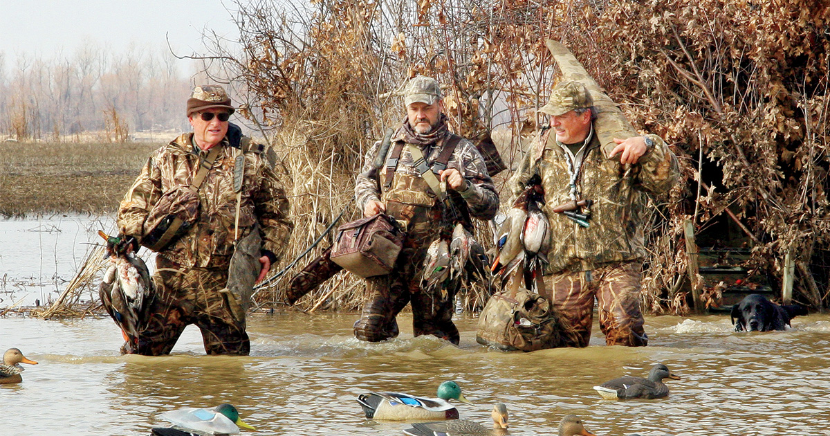 The author’s blind had repeatedly proven itself throughout the seasons, as this successful January duck hunt clearly illustrated. Photo by John Hoffman