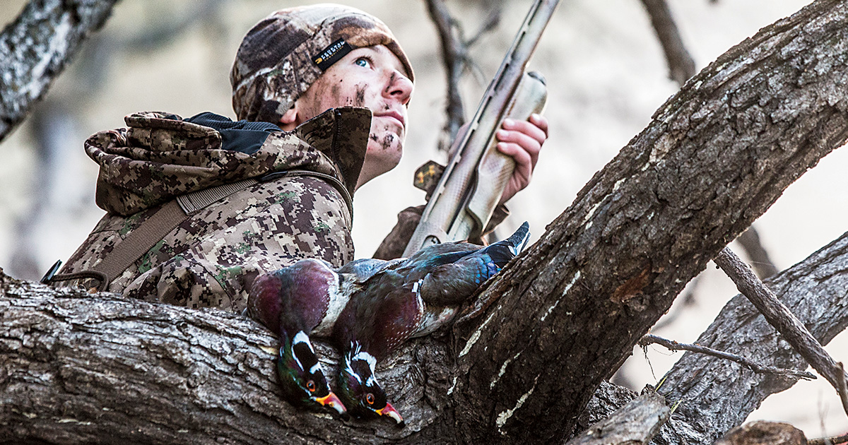 Hunting wood ducks in the timber. Photo by TomMartineau/WildFrontImages.com.