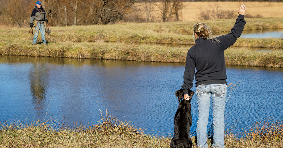 Trainer with retriever during a training session. Photo by lonlauber.com