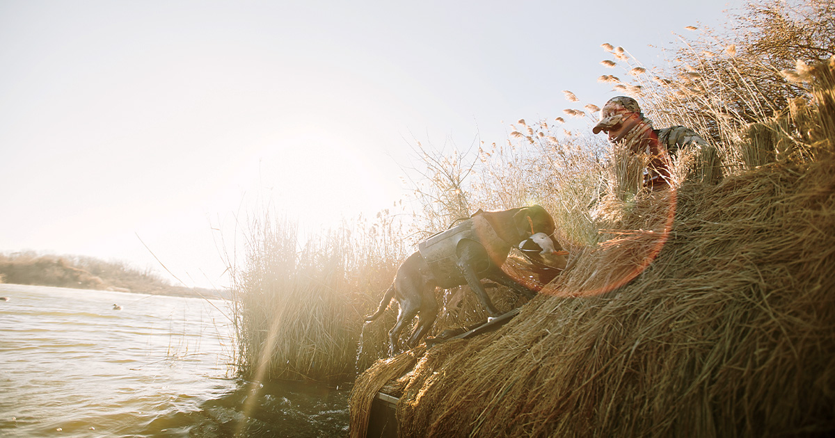 Retriever and hunter on a duck hunt. Photo by Nicole Belke