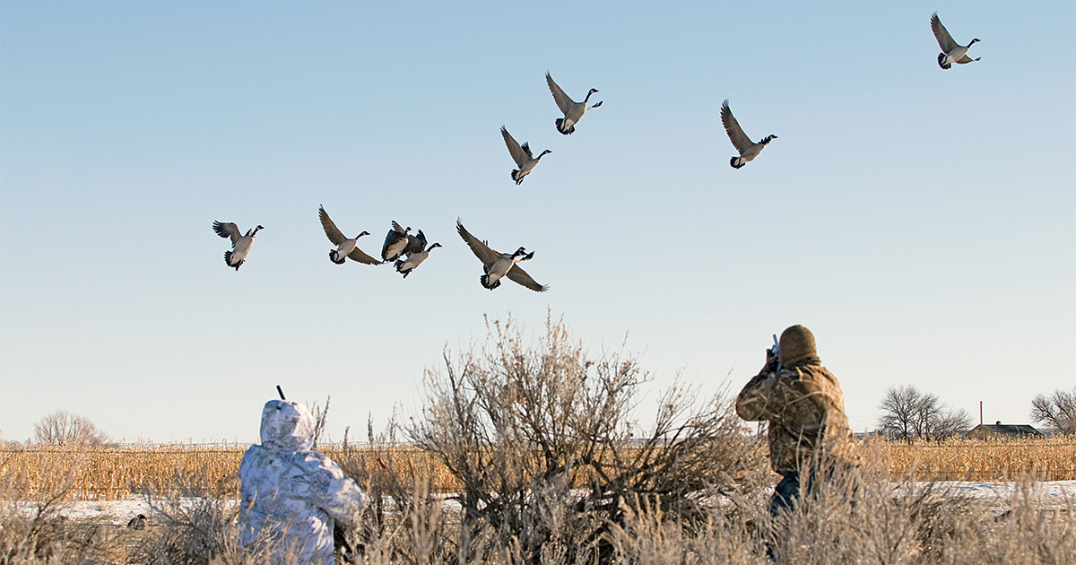 12 Tips for Hunting Geese | Ducks Unlimited