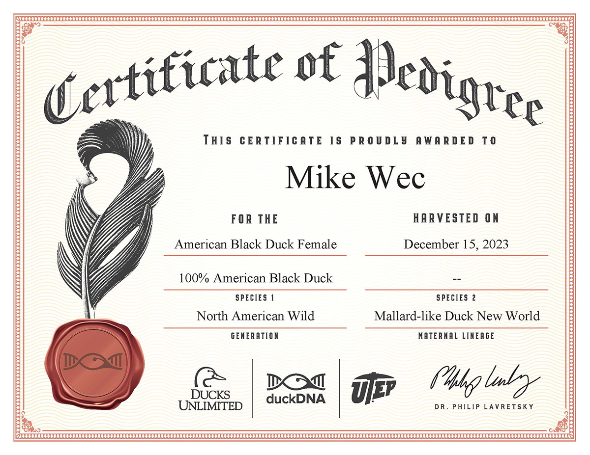 certificate_Mike Wec_DuckDNA.jpg