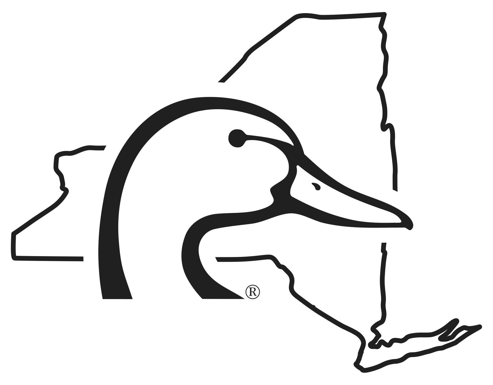 New York  Ducks Unlimited