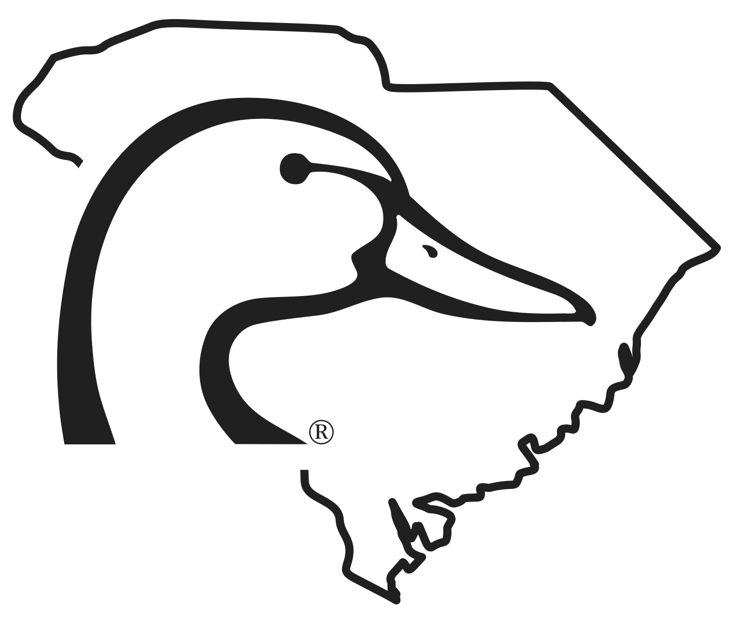 South Carolina  Ducks Unlimited