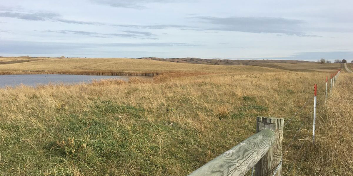 Grassland Enhancement Pilot Program (GEPP)