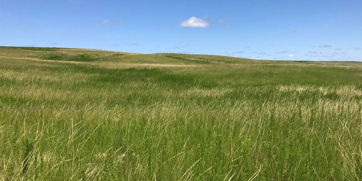 Grassland Working Lands Program
