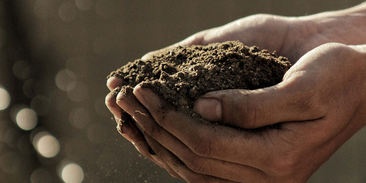 Scaling Soil Health in the Prairie Pothole Region
