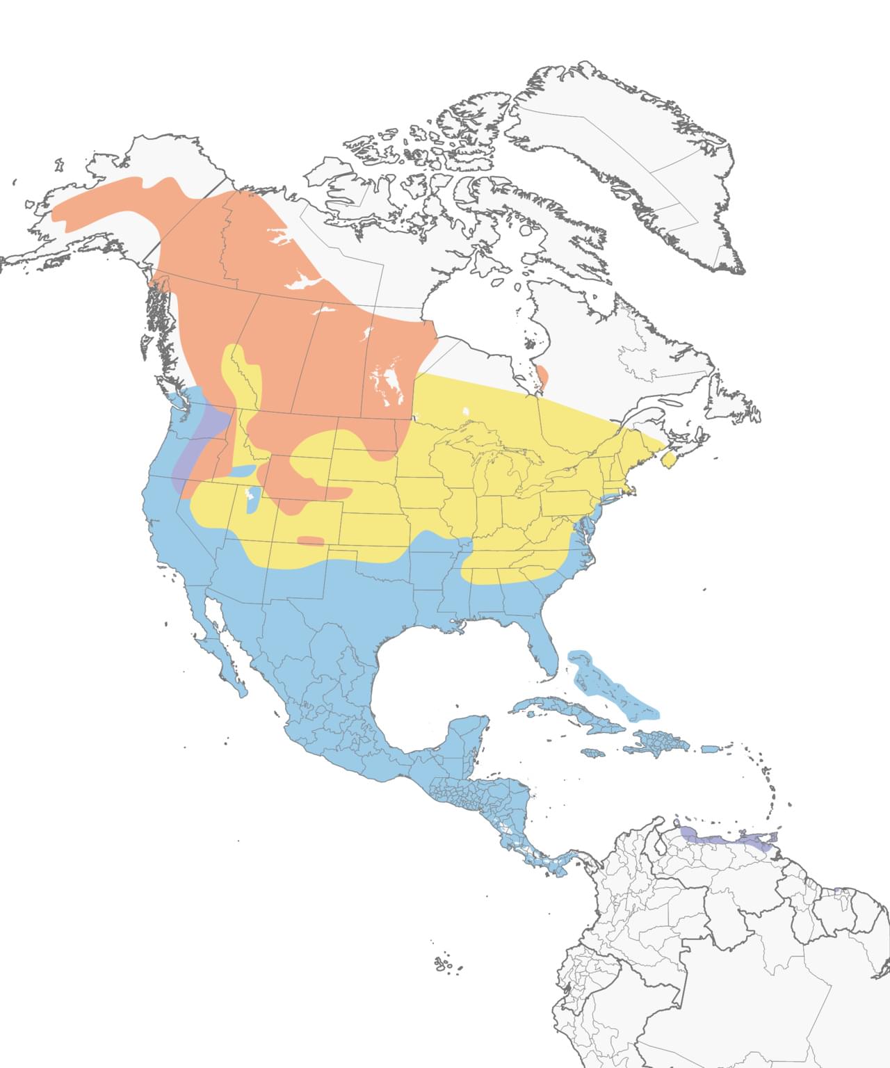 lesser-scaup-distribution.jpg