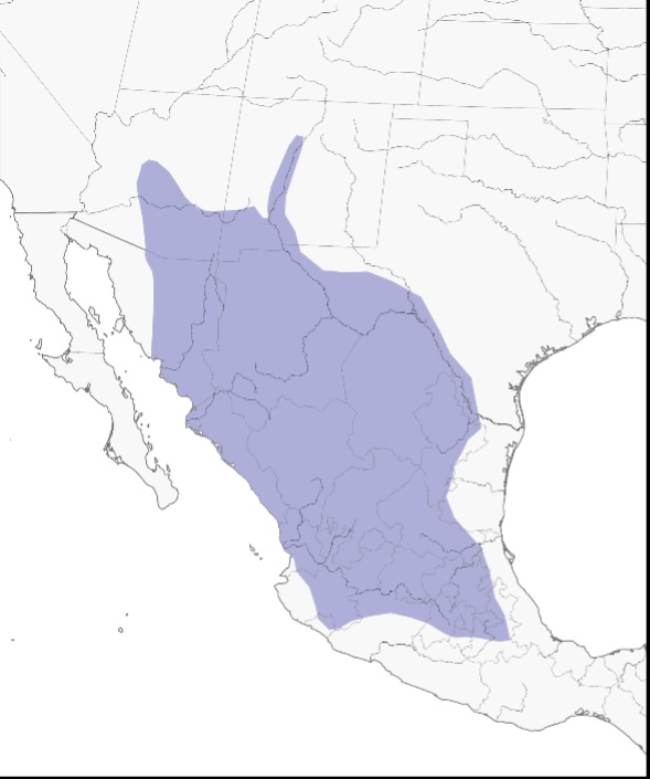 mexican-duck-migration-map.jpg