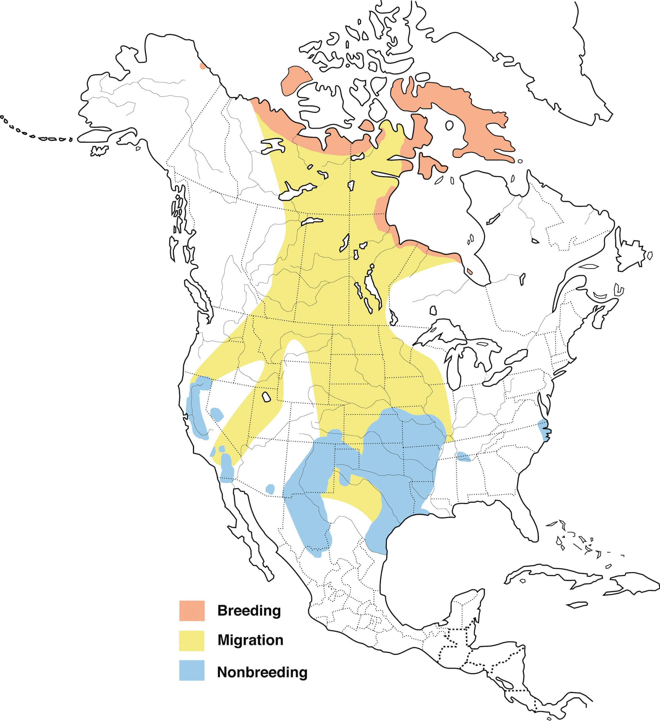 ross-goose-migration-map.jpg