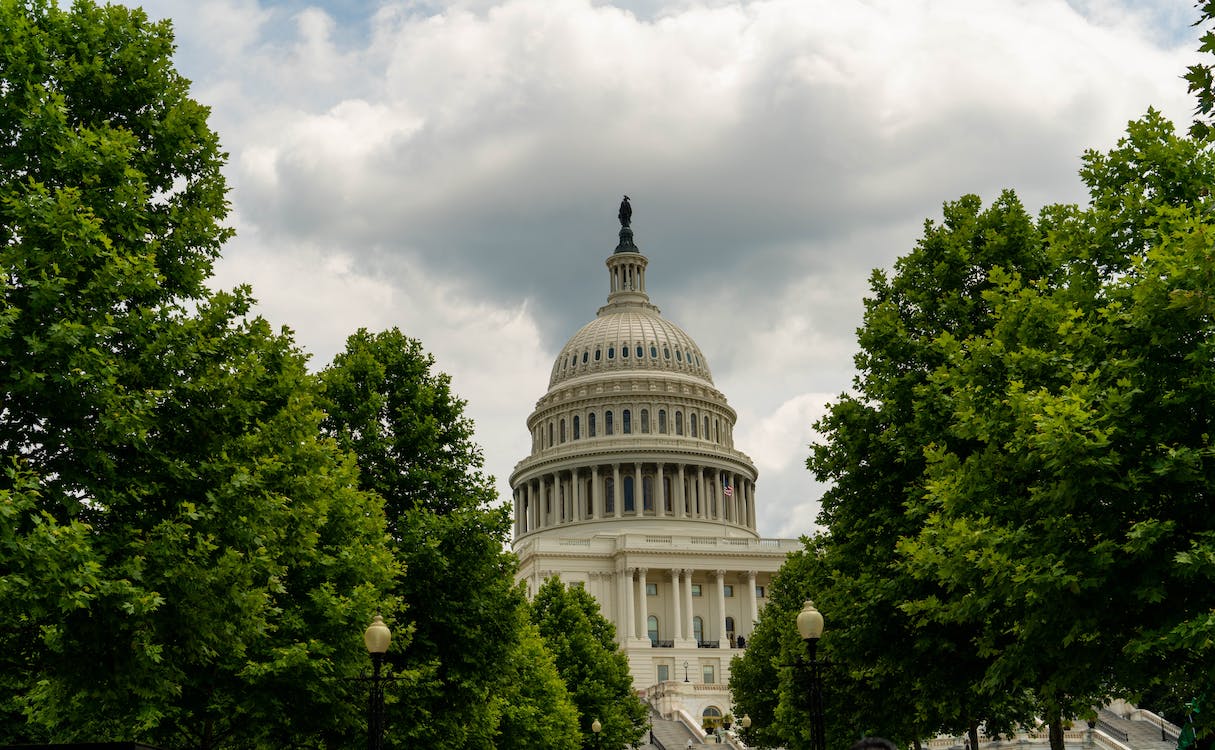 Ducks Unlimited: House and Senate making progress on Farm Bill