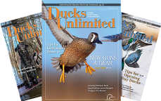 Ducks Unlimited presents 2022 calendar, Texas DU Gun Giveaway